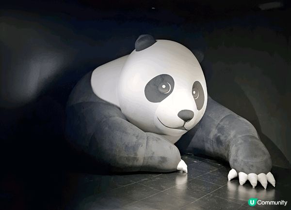 身為大熊貓迷，去旅行都不忘尋找大熊貓蹤影。路經安城Starf...