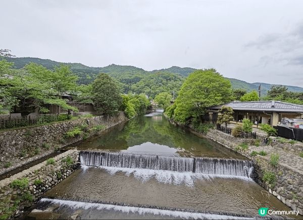 嵐山四季皆美，夏綠盎然。而且竹林步道幽靜又神秘，渡月橋風景如...