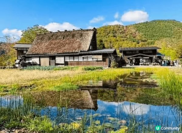 合掌村是一年四季都有不同風情,像我秋天去看到被橙紅色的楓葉包...