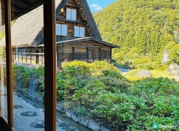 合掌村是一年四季都有不同風情,像我秋天去看到被橙紅色的楓葉包...