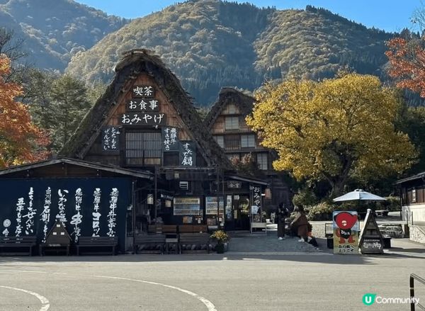 合掌村是一年四季都有不同風情,像我秋天去看到被橙紅色的楓葉包...