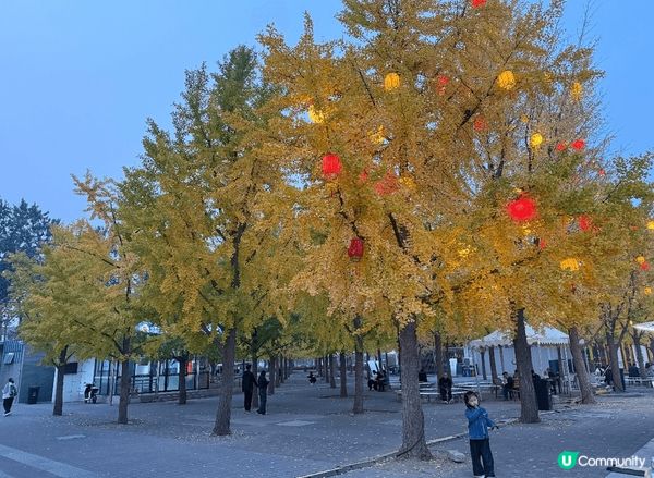 最鍾意十至十一月份去旅行，秋天季節唔會熱又唔會太凍，仲可以賞...