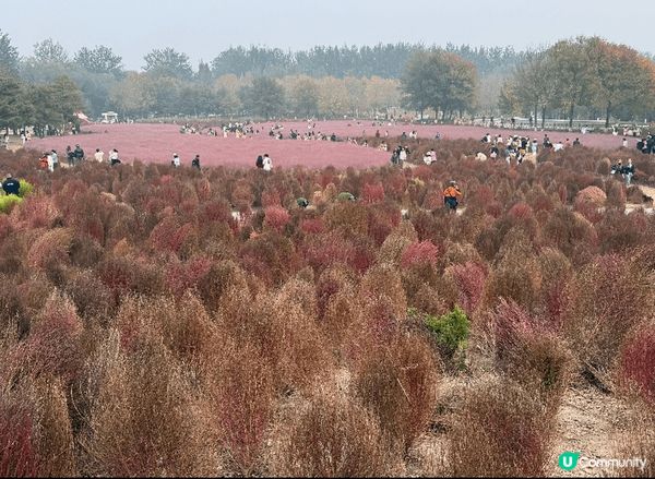 最鍾意十至十一月份去旅行，秋天季節唔會熱又唔會太凍，仲可以賞...