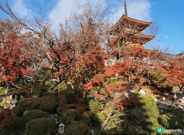 京都清水寺座落於音羽山之上，秋季正值紅葉季，與周圍茂密的紅葉...