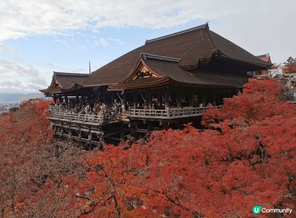 京都清水寺座落於音羽山之上，秋季正值紅葉季，與周圍茂密的紅葉...