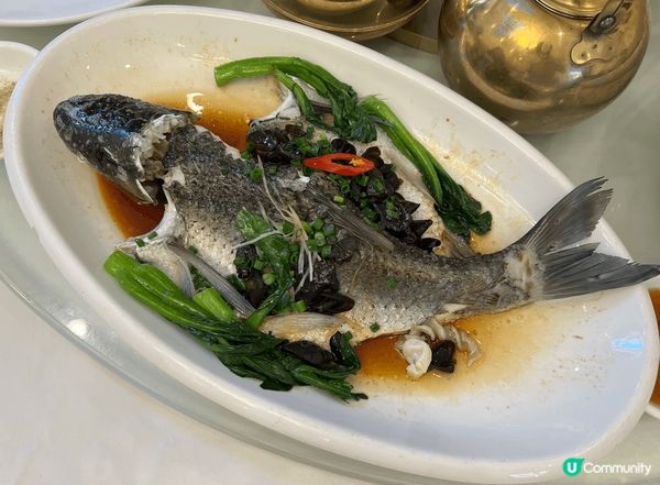 江門美食+貴陽美食