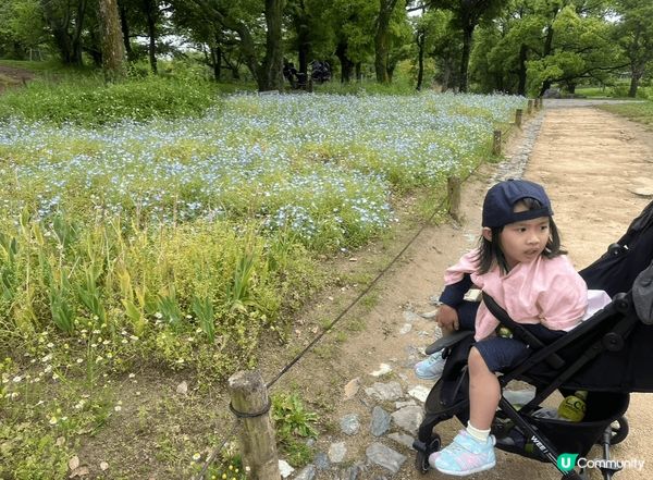 我喜歡太陽之?的原因是地方空曠寧靜，非常大，絕對是寧靜身心的...