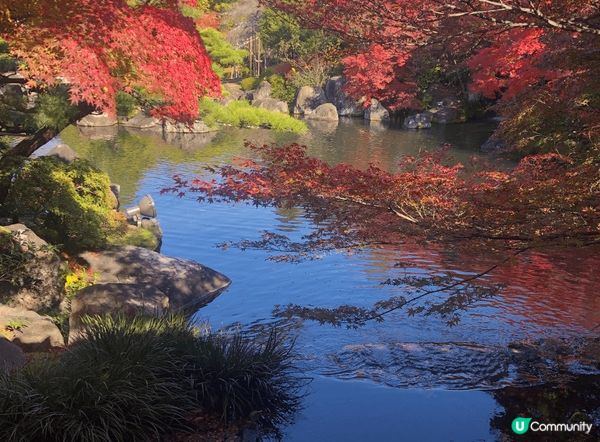 姬路城旁邊還有座日式風格的庭院叫「好古園」。好古園跟姬路城有...