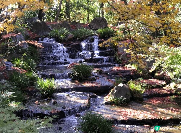 姬路城旁邊還有座日式風格的庭院叫「好古園」。好古園跟姬路城有...