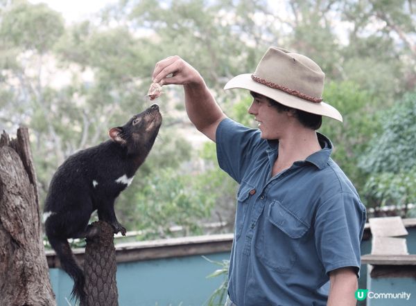 波諾朗野生動物園：動物天堂
