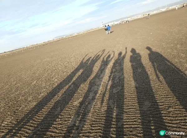 台中高美濕地，一家大小都玩得開心的好地方，睇日落、行濕地、打...