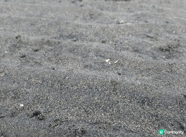 台中高美濕地，一家大小都玩得開心的好地方，睇日落、行濕地、打...