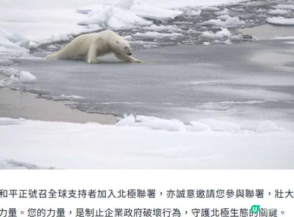 🌍《綠色和平》守護北極🌎