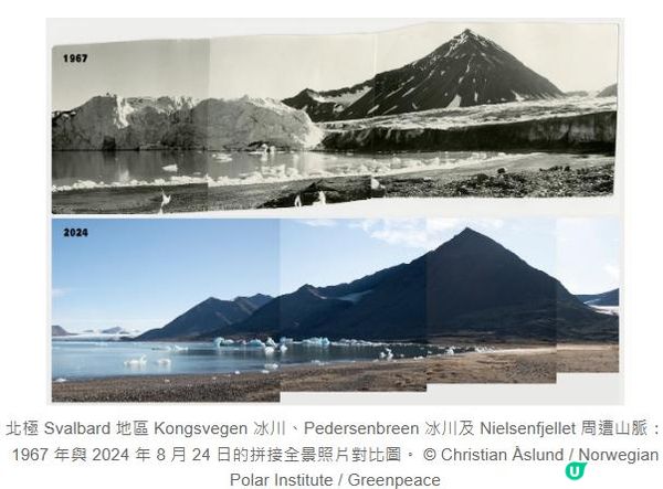 🌍《綠色和平》守護北極🌎