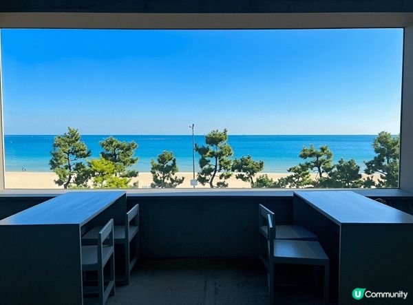 釜山人氣海景Cafe holi lounge 正正對住松亭海...