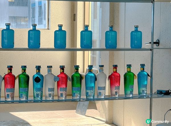 釜山人氣海景Cafe holi lounge 正正對住松亭海...