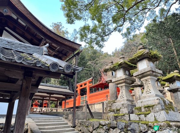 位於日本奈良的奈良公園裡有很多可愛的鹿仔，😍每隻都很有禮貌，...