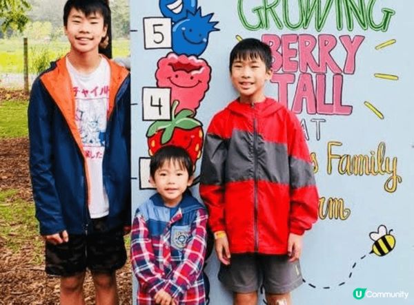 小朋友第一次去果園摘生果，見到滿樹紅蘋果好興奮，好奇伸手去摘...