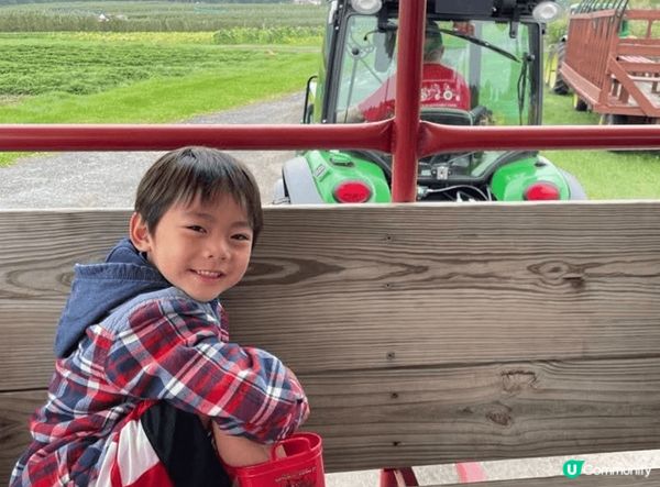 小朋友第一次去果園摘生果，見到滿樹紅蘋果好興奮，好奇伸手去摘...