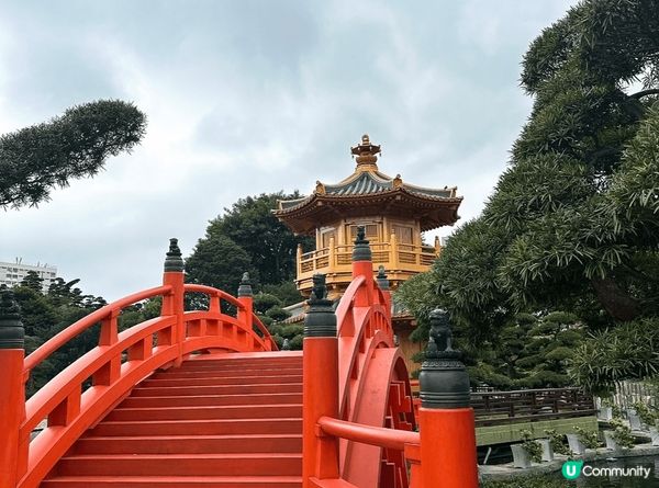 鑽石山志蓮淨苑，春季打卡必去！