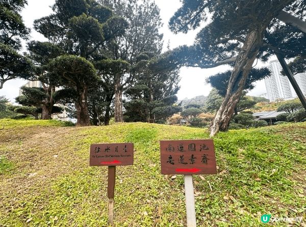 鑽石山志蓮淨苑，春季打卡必去！