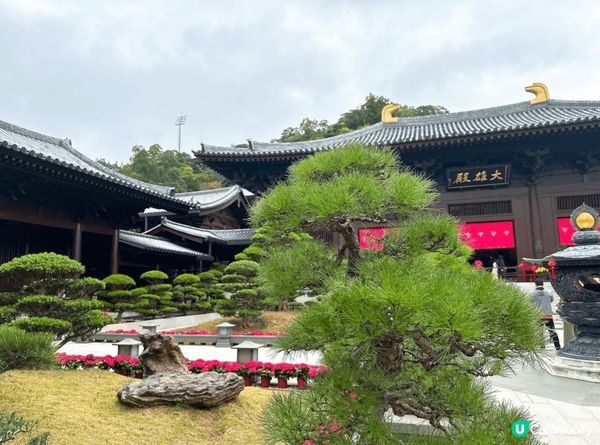 鑽石山志蓮淨苑，春季打卡必去！