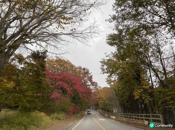 日本紅葉🍁特別迷人，遍佈山頭，一望無際由綠，漸變黃，橙，紅，...