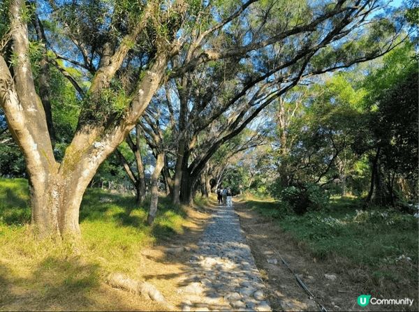 無論是在深圳荷蘭花卉小鎮輕鬆逛逛，還是在香港鹿頸休閒地行山，...