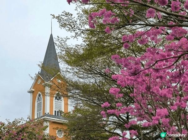 無論是在深圳荷蘭花卉小鎮輕鬆逛逛，還是在香港鹿頸休閒地行山，...