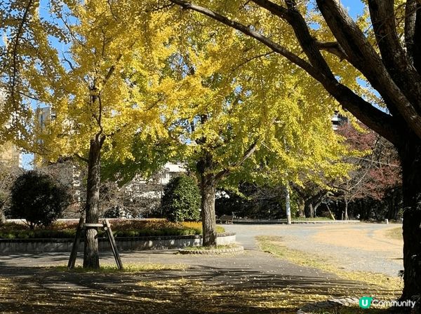 紅葉季到訪大阪城公園，由天守閣襯托紅葉，古色古香。再到福岡大...