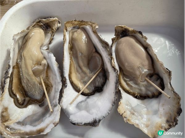 東京築地可以話應有盡有，只係怕你無咁大個胃可以放得曬咁多美食...