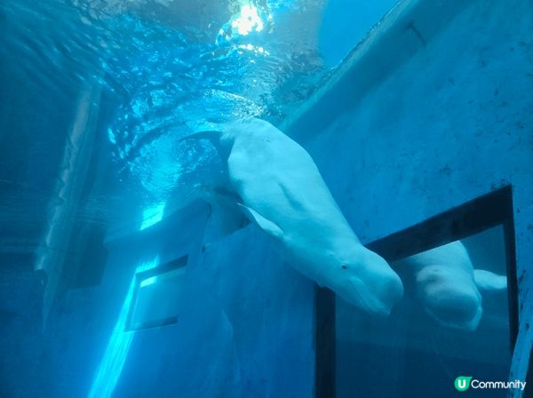 輕鬆自在嘅自由行，環境寧靜，風景優雅，身心舒適