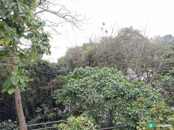 迪士尼樂園多歡笑，郊外自然景色多優美，空氣清新舒服！