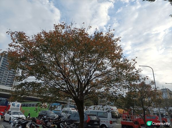 台北中山站,我喜歡這裡大街小行,旺中帶靜,店舖各有特色,日與...