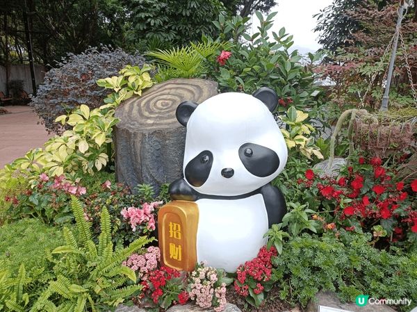 大埔海濱公園，春日賞花打卡之選，美麗的玫瑰園被園藝師悉心打理...