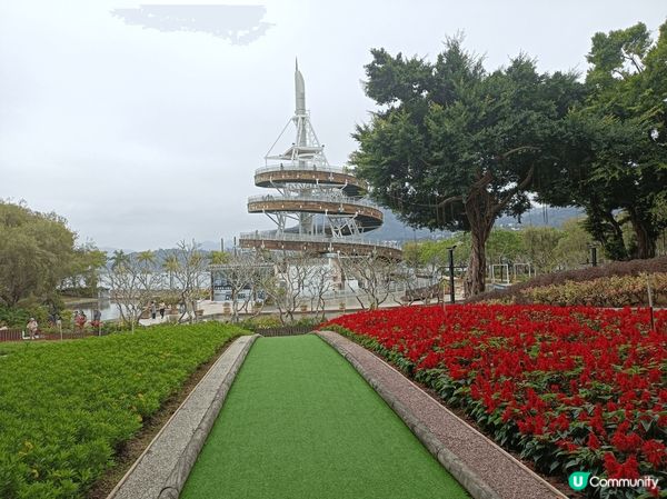 大埔海濱公園，春日賞花打卡之選，美麗的玫瑰園被園藝師悉心打理...