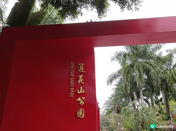深圳蓮花山公園賞勒杜鵑，這裡不是一個公園，而是一座山，遊人絡...