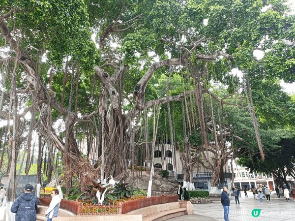 廈門最美的碼頭ー鼓浪嶼碼頭，沿海旁感受清爽的海風撲面，慢步下...