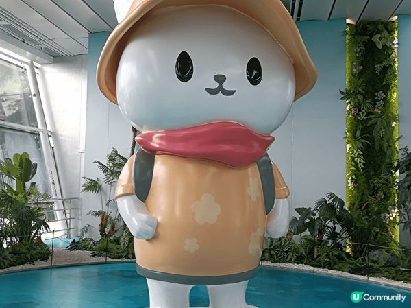 廈門最美的碼頭ー鼓浪嶼碼頭，沿海旁感受清爽的海風撲面，慢步下...