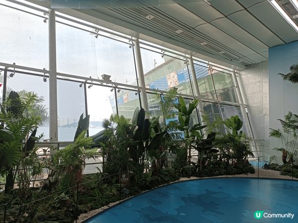 廈門最美的碼頭ー鼓浪嶼碼頭，沿海旁感受清爽的海風撲面，慢步下...