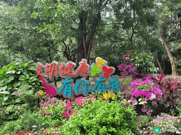 深圳蓮花山，恰巧遇到簕杜鵑花展，人山人海，另邊箱有大片草地和...