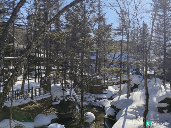 長白山之旅真係正到爆燈！我哋廣東仔女第一次嚟到零下十幾度嘅北...