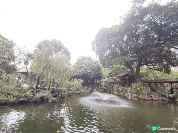 **「48小時快閃順德 — 舌尖暴走+復古打卡，食到唔捨得返...