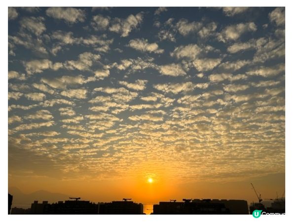 香港領養小孩(六)跟女兒初步相處