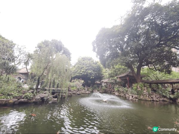 上個weekend同班friend去咗郊外個錦鯉池打卡，真係...