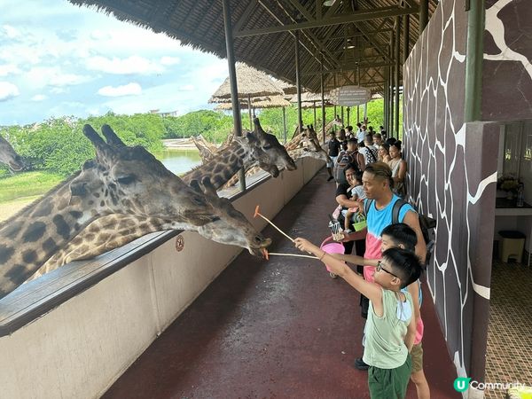 泰國曼谷好適合一家大細去的親子旅行，無論室外室內Playho...