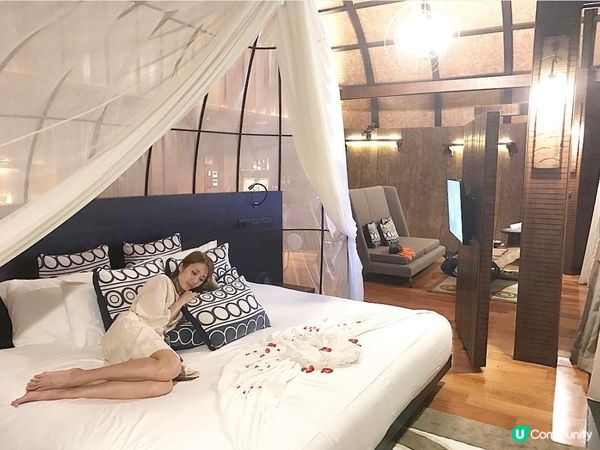 Keemala 懸浮泳池别墅 ｜像鳥巢一樣被自然拥抱 🥰