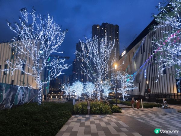 啟德園除咗平時開演唱會之外，閒時在週邊休閒逛逛也很寫意，夜景...