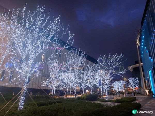 啟德園除咗平時開演唱會之外，閒時在週邊休閒逛逛也很寫意，夜景...