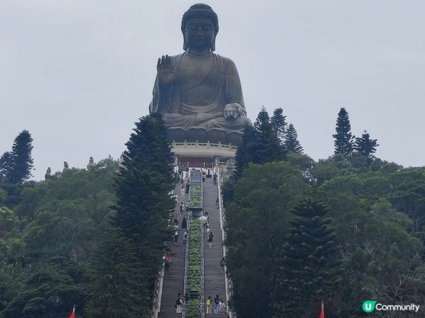 大嶼山昂坪天壇大佛及寶蓮禪寺一遊，雖然心經簡林於6月5日起暫...